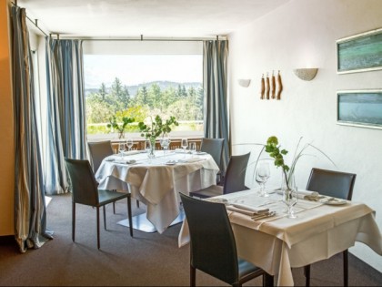 Foto: Allg&amp;auml;uer 